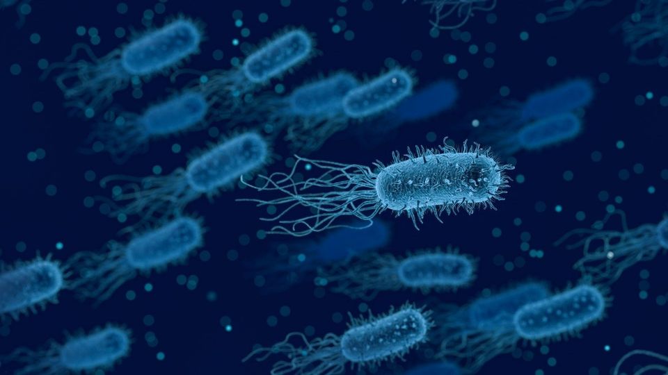 ¿Nueva pandemia?: EU alerta por «súper gonorrea» resistente a todos los medicamentos