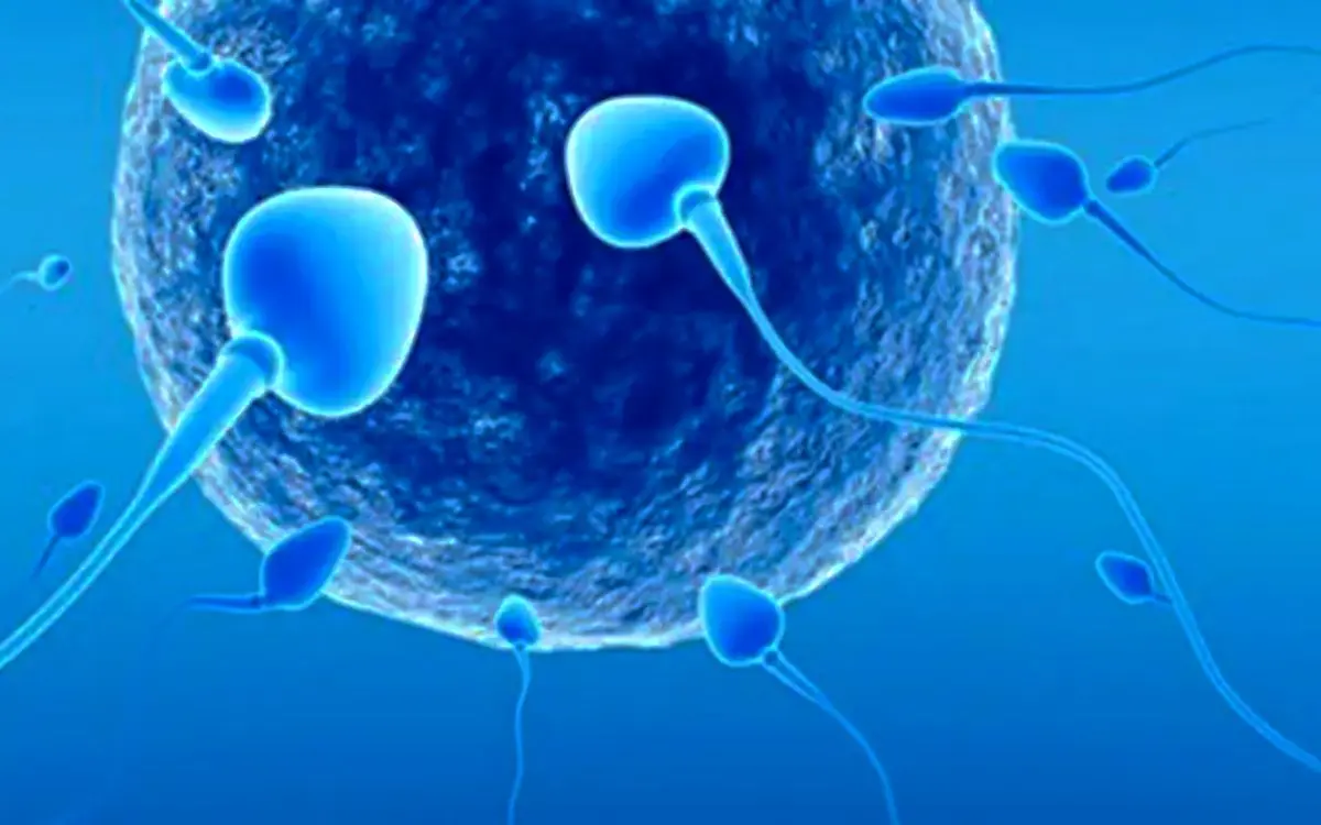 Calidad de semen bajó en hombres que tuvieron Covid-19: estudio lo explica
