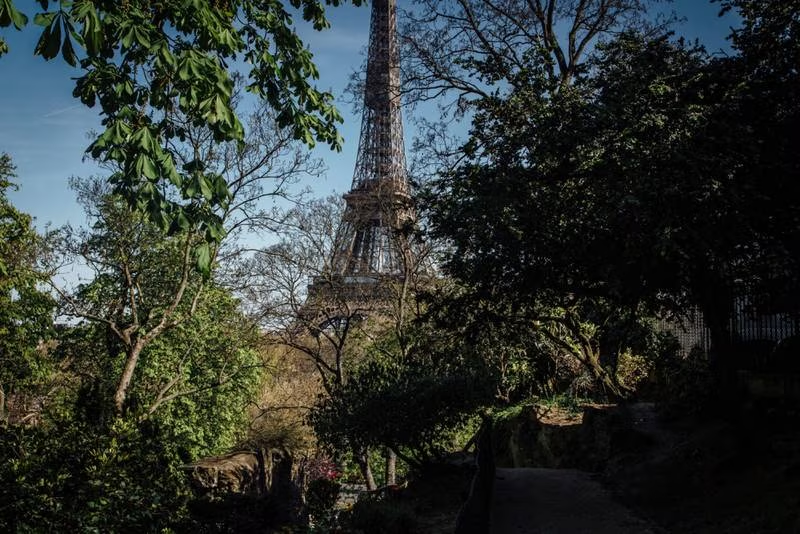 La nueva estrategia de París vs. olas de calor: Plantar árboles más resistentes