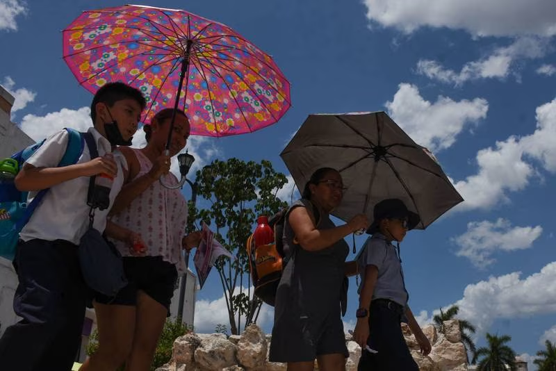 ¡Se cocinan! Estos estados alcanzarán temperaturas de hasta 45 grados por onda de calor
