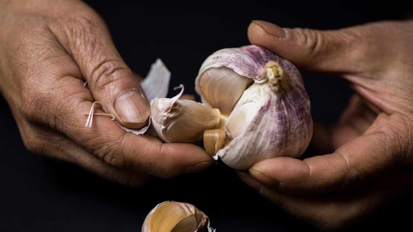 ¿Qué usos se le da al ajo en la medicina tradicional mexicana?