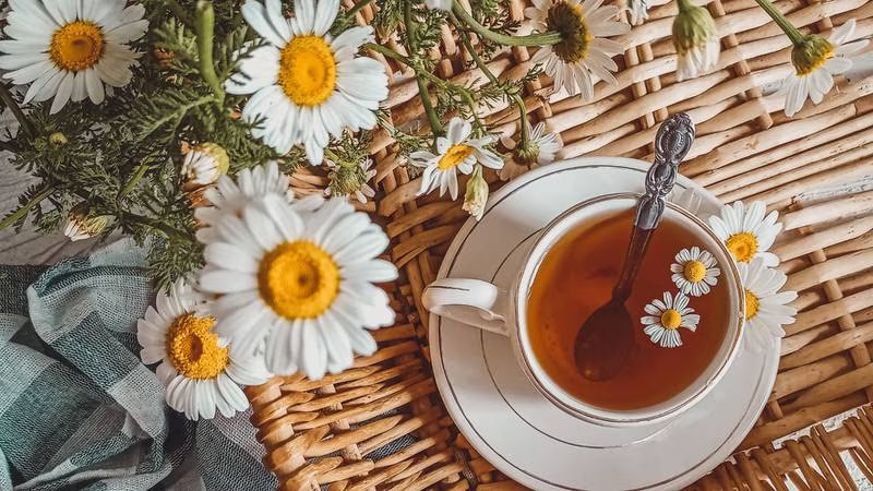 ¿Cuáles son los beneficios de la manzanilla según la medicina tradicional mexicana?