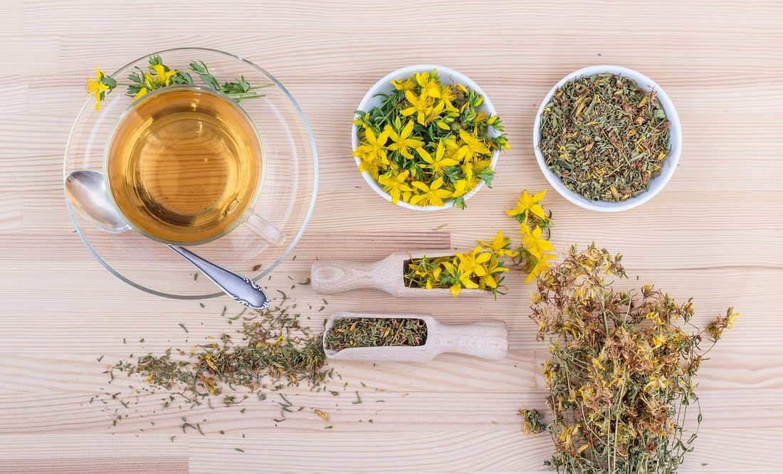3 plantas medicinales y sus beneficios