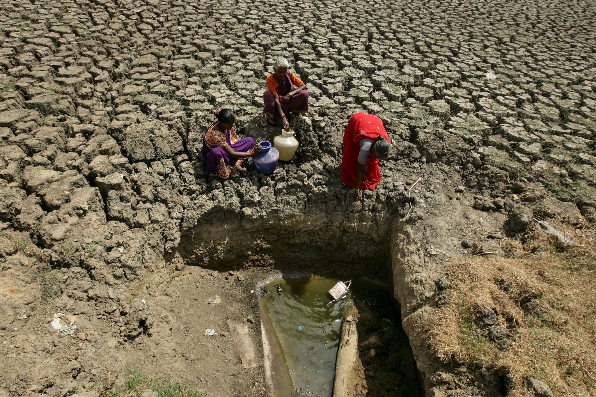 Abrasadora ola de calor en India satura hospitales y suma casi 170 muertes