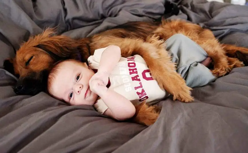 Un perrito jugó con un bebé y se convirtió en el video más tierno de Internet