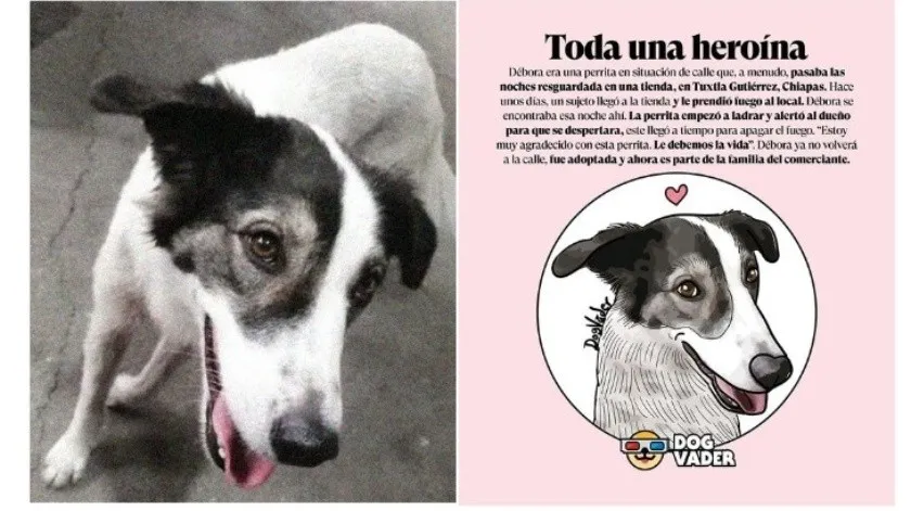 Débora, la perrita que salvo a una familia de un incendio