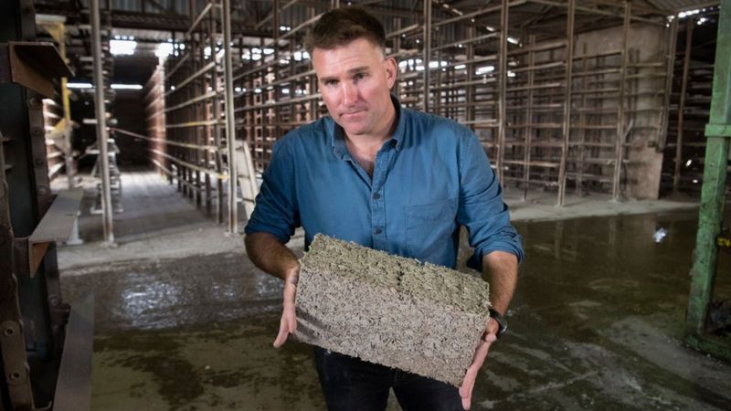 Casas construidas con cannabis: ¿Cuáles son las ventajas que tienen?