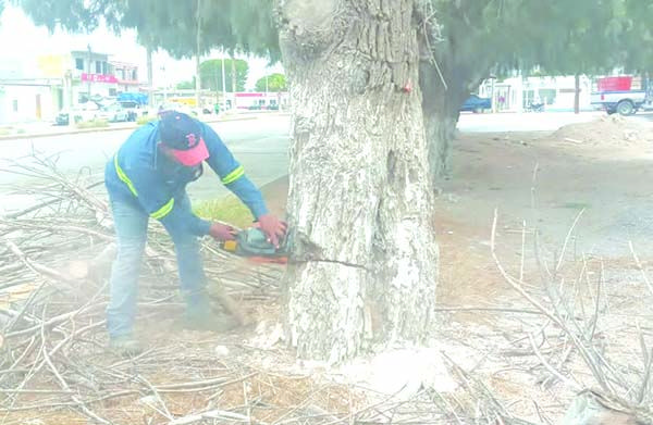Agiliza 4C atención al reporte ciudadano