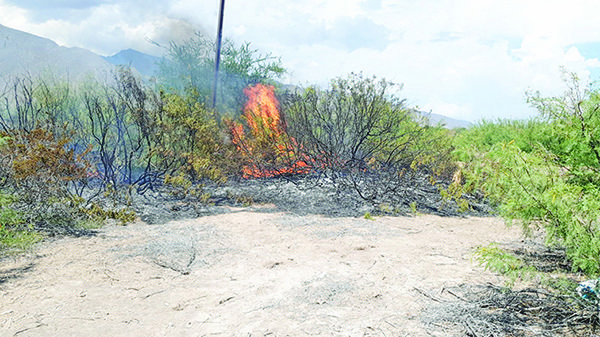 Se desata incendio cerca de vías de CC