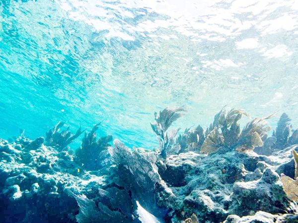 Océano Atlántico bate récord de temperatura