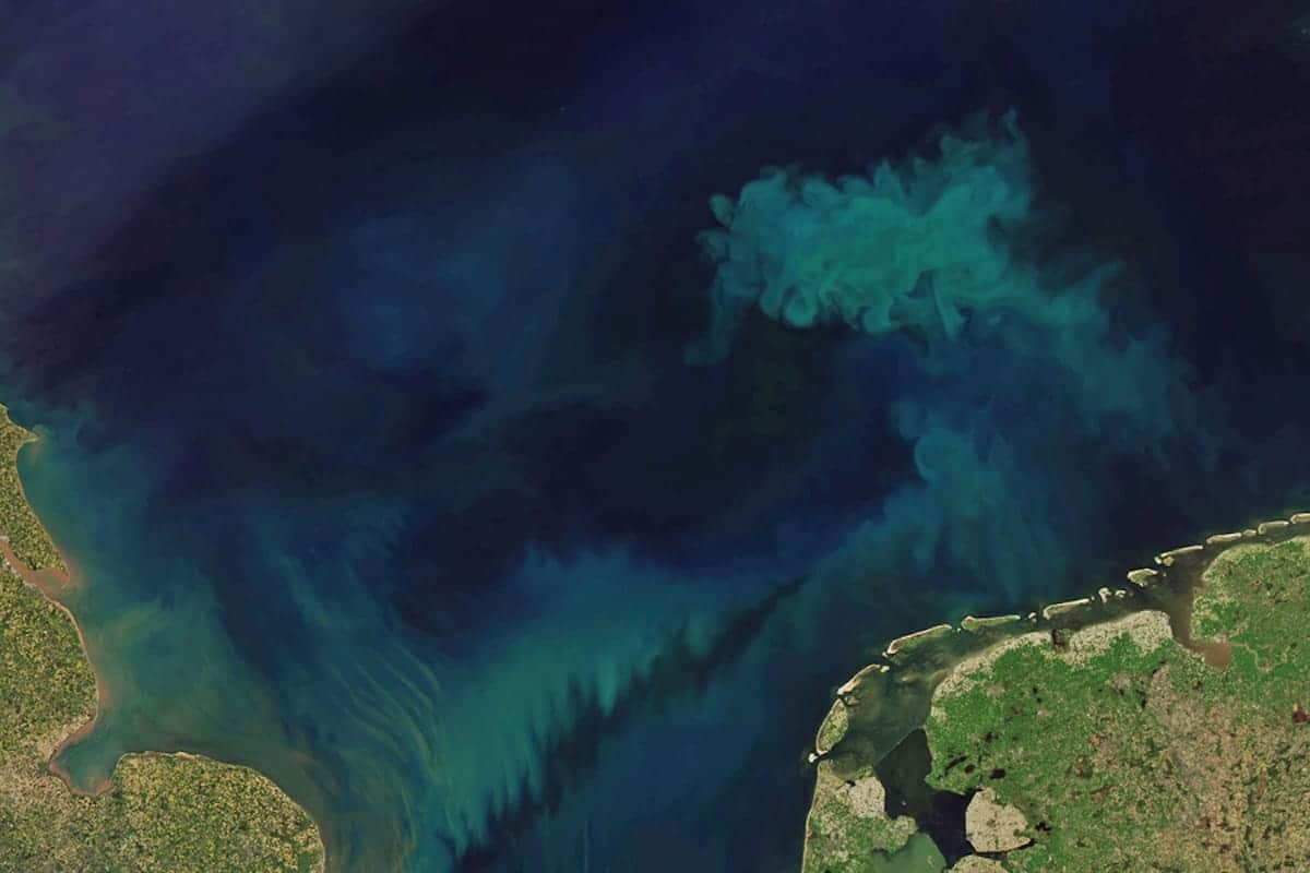 Los océanos están cambiando de color: Cada vez más verdes, el plante azul pronto podría ser el planeta verde