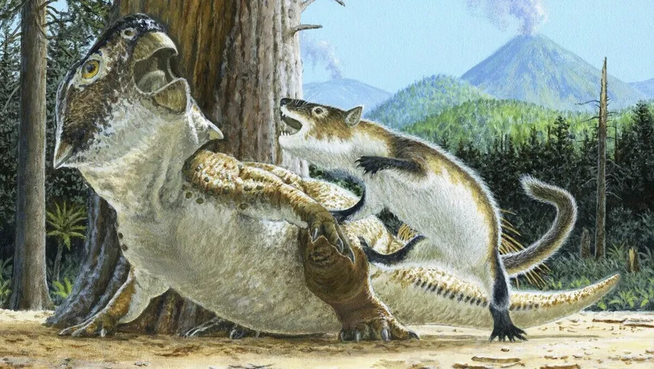 Hallazgo de fósil demuestra que mamíferos devoraban dinosaurios