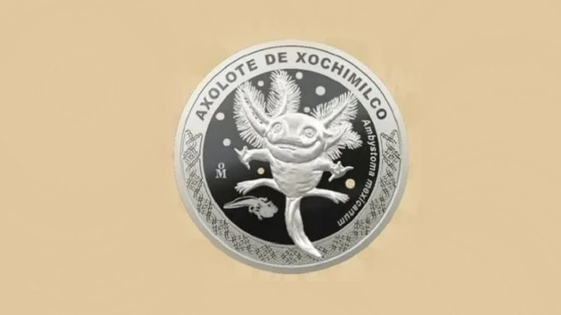 Moneda conmemorativa del ajolotito: ¿cuánto vale y dónde la puedo comprar?
