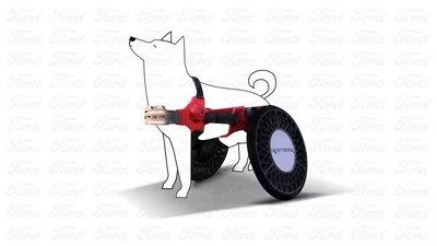 FORD P-RAPTOR, PARA AYUDAR A PERRITOS CON DISCAPACIDAD
