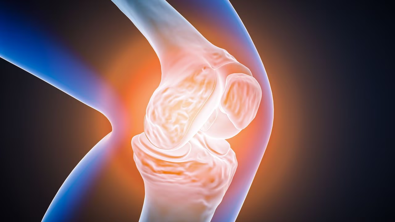 Tres alimentos que ayudan a regenerar el cartílago desgastado de la rodilla