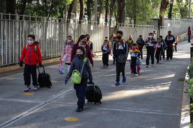 ¿Cuáles son las 4 nuevas materias de la SEP para nivel primaria?