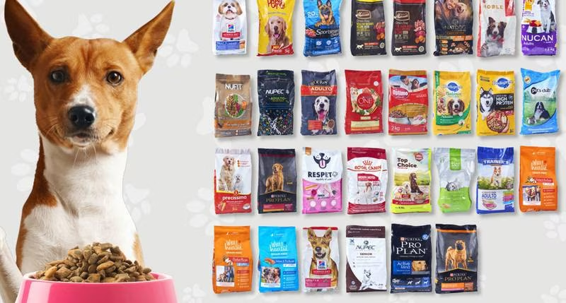 Croquetas para perro: Estas 7 marcas mienten sobre su contenido nutrimental, según la Profeco