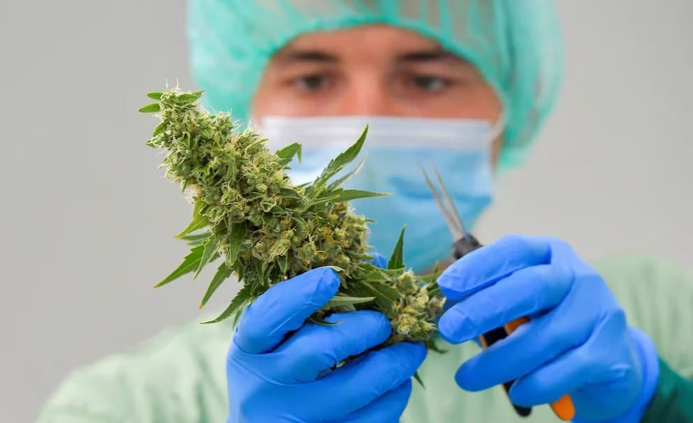 Prueban el vínculo entre la depresión y el trastorno bipolar con el consumo excesivo de cannabis
