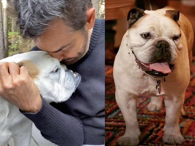 Eugenio Derbez comparte que murió su perrita Fiona; «el dolor que hoy siento es inmenso»
