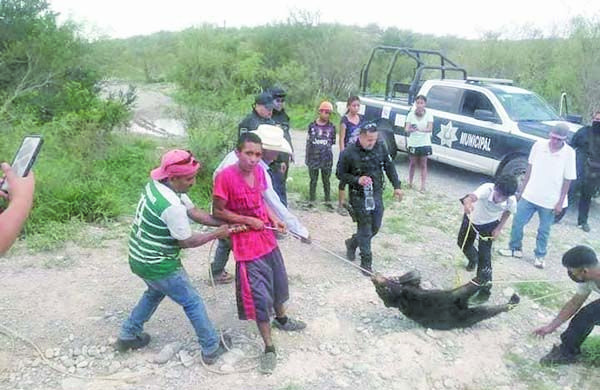 Deberán pagar 1.3 MDP 6 homicidas del osezno