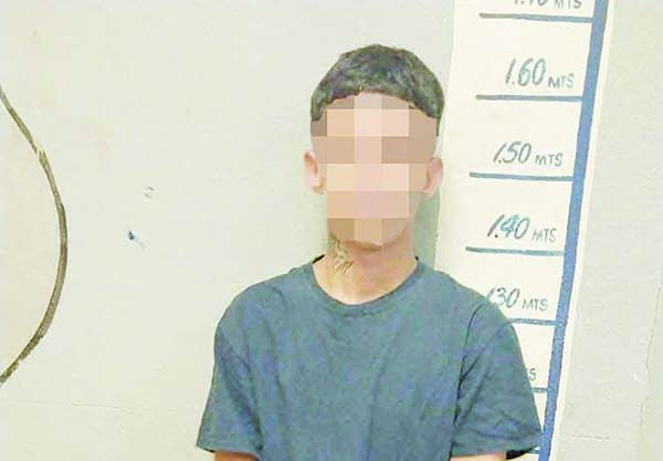 Hunde a ladrón video grabado por su mamá