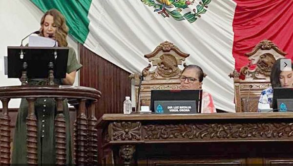 Pide Congreso detener la publicación de libros