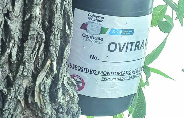 Confirma Salud 1 caso de dengue en Múzquiz