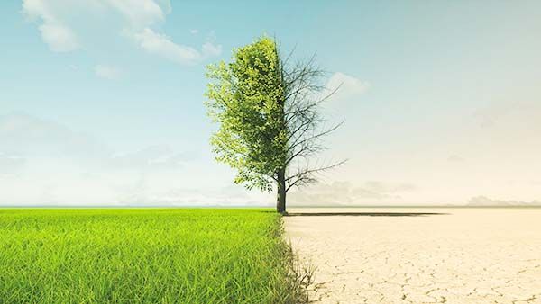La naturaleza ‘arrasa’ con EU