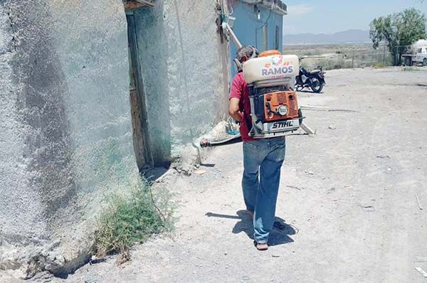 AMPLÍAN FUMIGACIÓN CONTRA RICKETTSIA