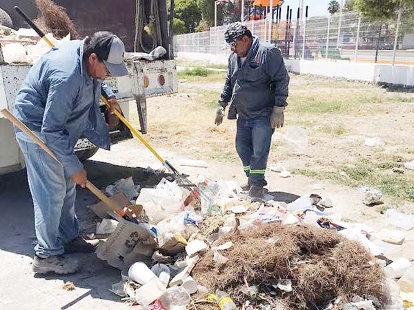 Limpia SB y reforesta