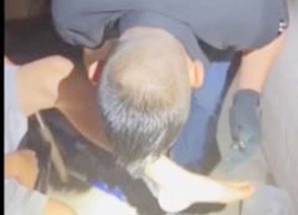 Moviliza a PRONNIF violencia contra NNA