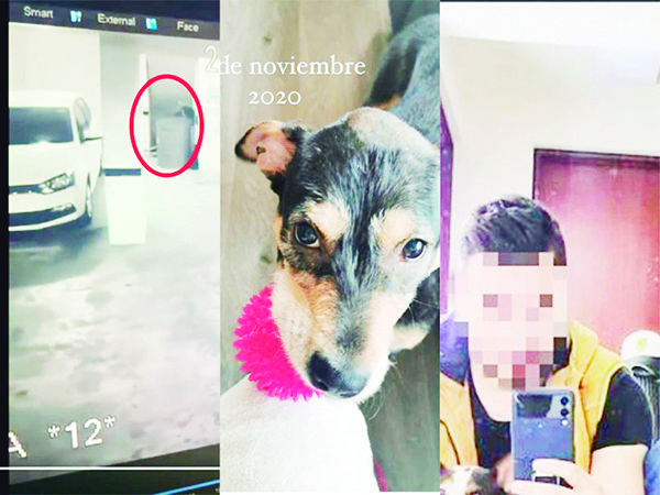 Chica denuncia que su ex mató a su perrita a golpes