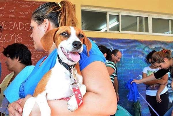 Protege San Buena la salud de mascotas