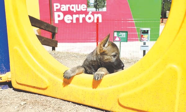 Listo segundo Parque Perrón