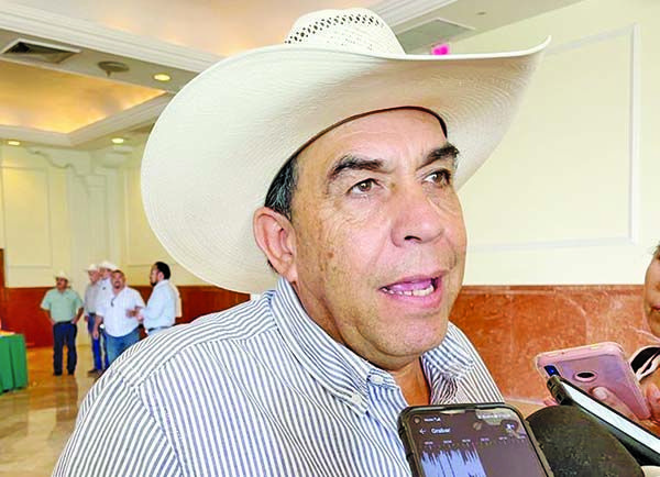 Celebra IP suspensión de distribución de libros
