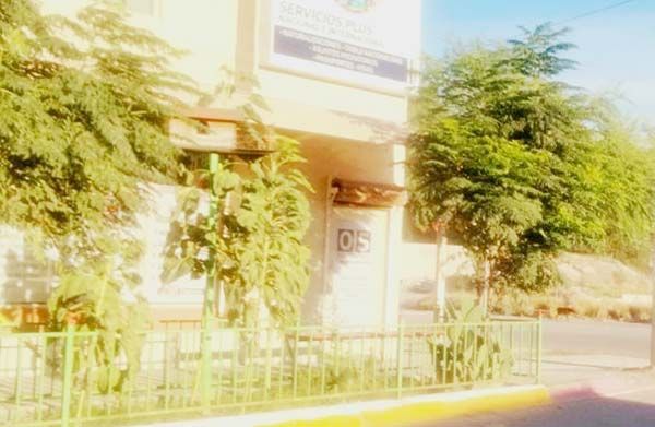 Mata a ganado brote de Fiebre Carbonosa