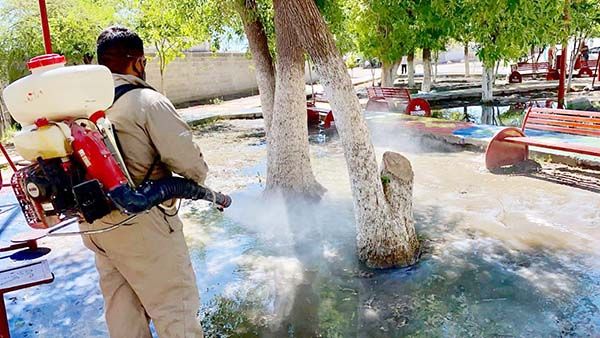 Fumigan contra el dengue en la Región Laguna