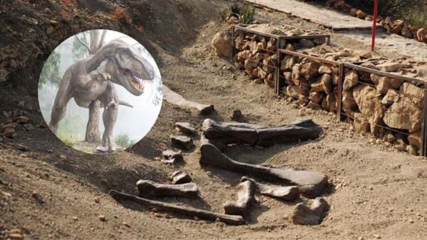Conoce las huellas los dinosaurios en Coahuila