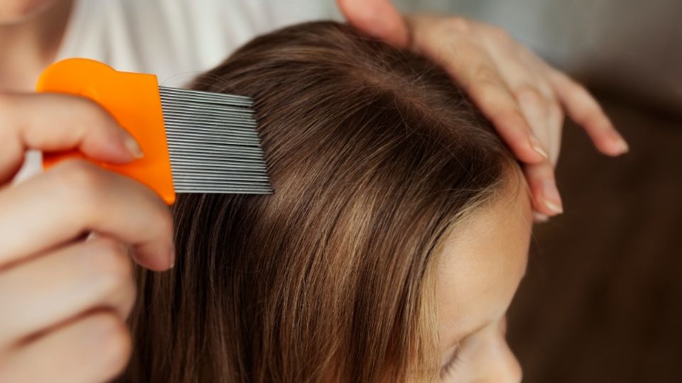 ¿Cómo prevenir los piojos en este regreso a clases?