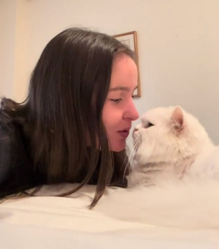 Quería besar a su gato, pero terminó ciega tras fuerte arañazo