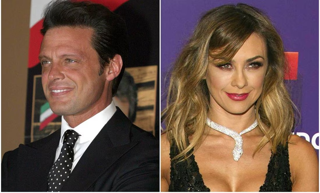 Luis Miguel podría ser enjuiciado por Aracely Arámbula en su visita a México