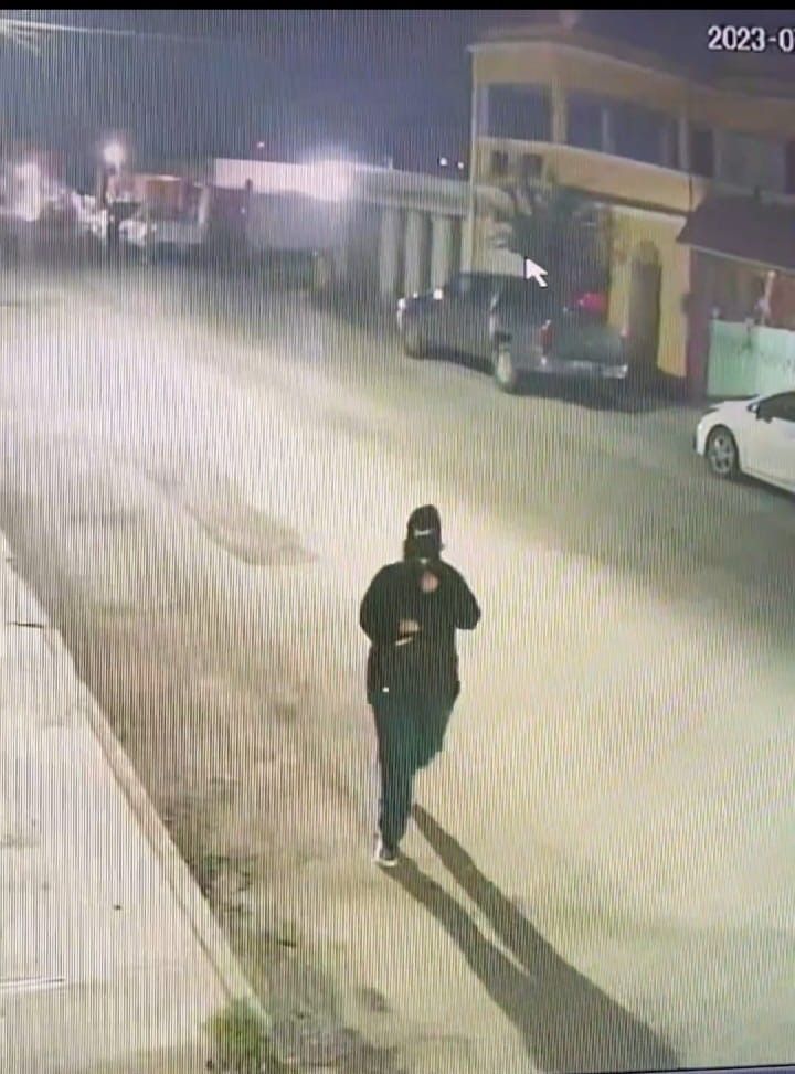 Mata dolida mujer a gato, daña auto y roba por despecho