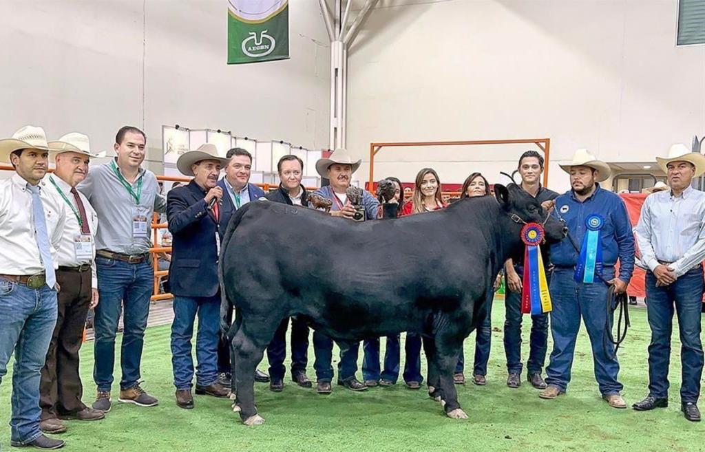 Domina Coahuila premios en el “Novilo Gordo 2023”