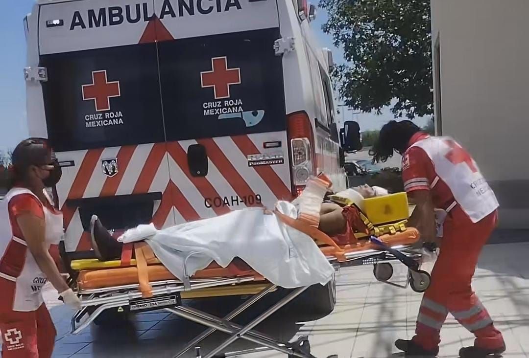 Quería bajar nueces; se fractura los brazos