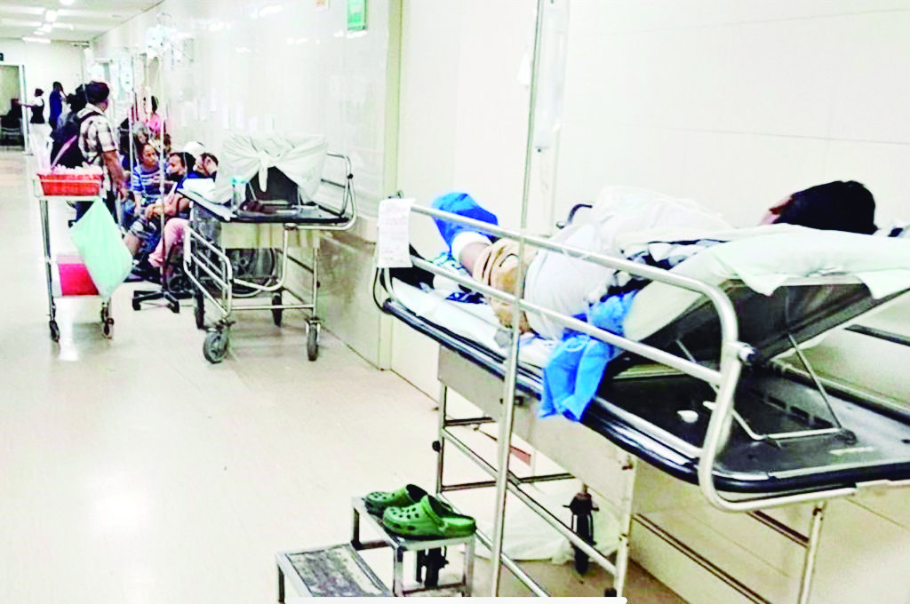 Mata rickettsia a 16 en Coahuila