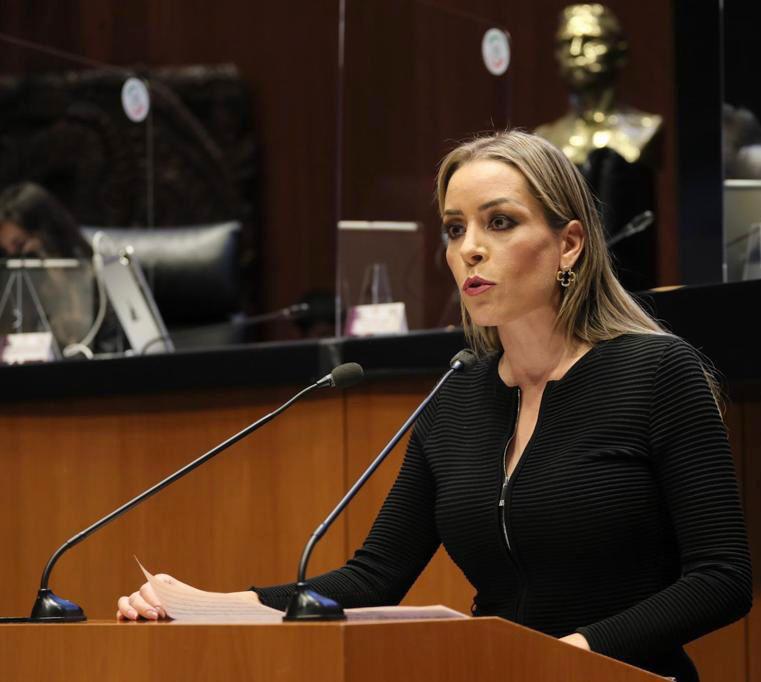URGENTE ATENDER CRISIS EN EL SISTEMA DE SALUD: SENADORA