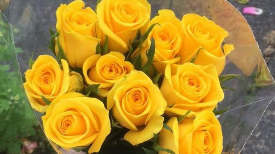 ¿Por qué debes regalar flores amarillas el 21 septiembre? La razón es muy poderosa