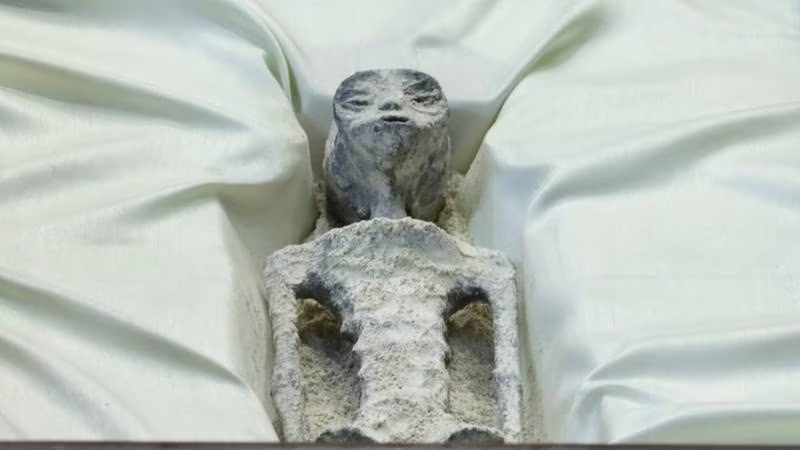 ¿No son aliens? UNAM desconoce origen de los ‘seres no humanos’ presumidos por Jaime Maussan