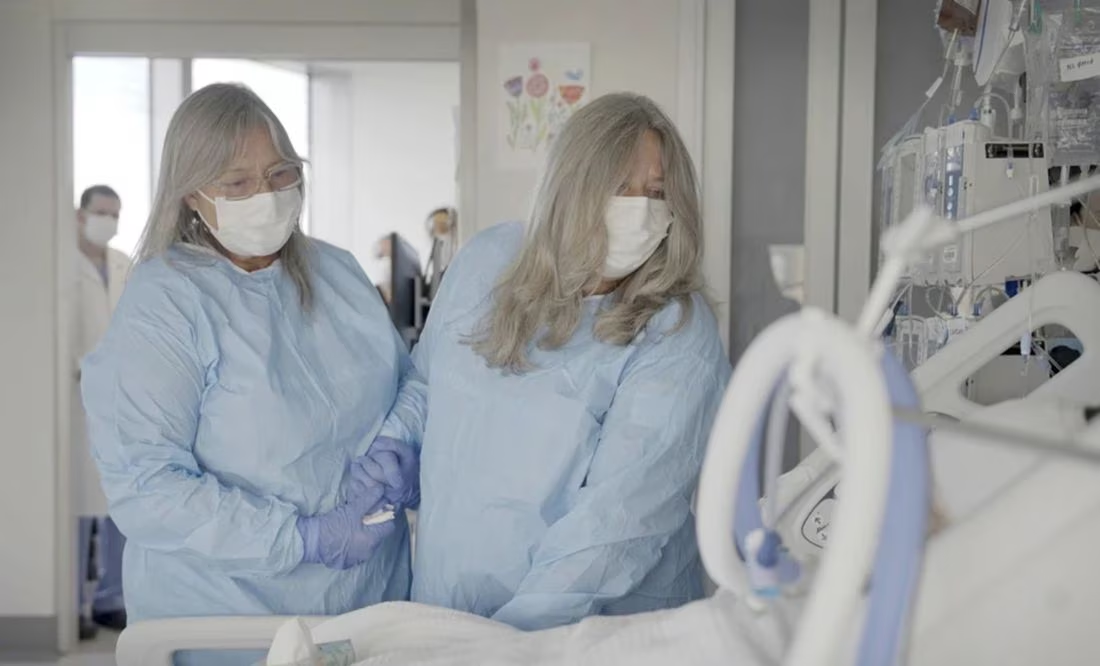 ¡Histórico! Riñón de cerdo funciona durante 2 meses en cuerpo humano