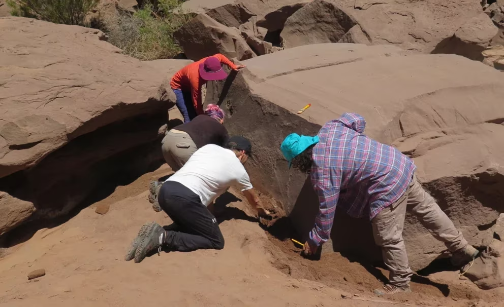 Descubren huellas fósiles en La Rioja que revelan datos desconocidos de la fauna del Mioceno